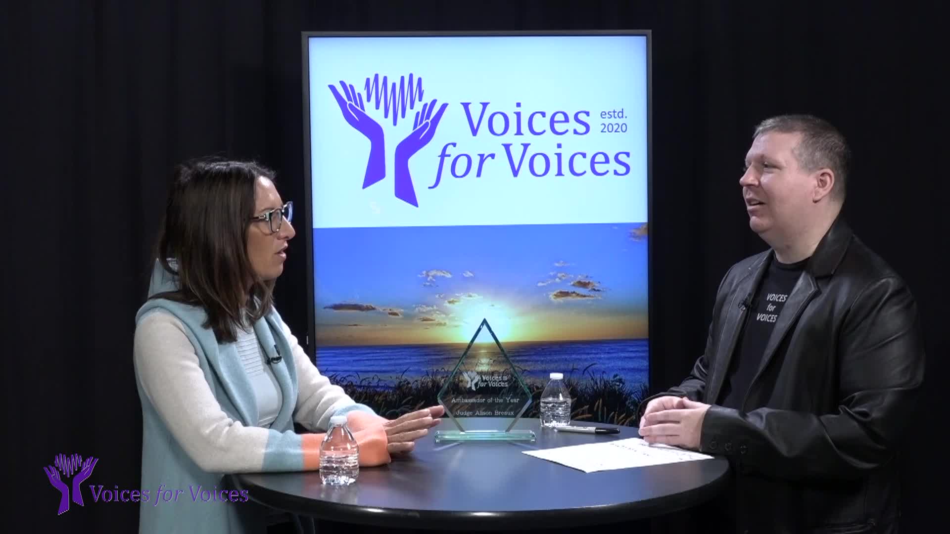 Thumbnail image for Voices for Voices: Mental Health HOPE Court