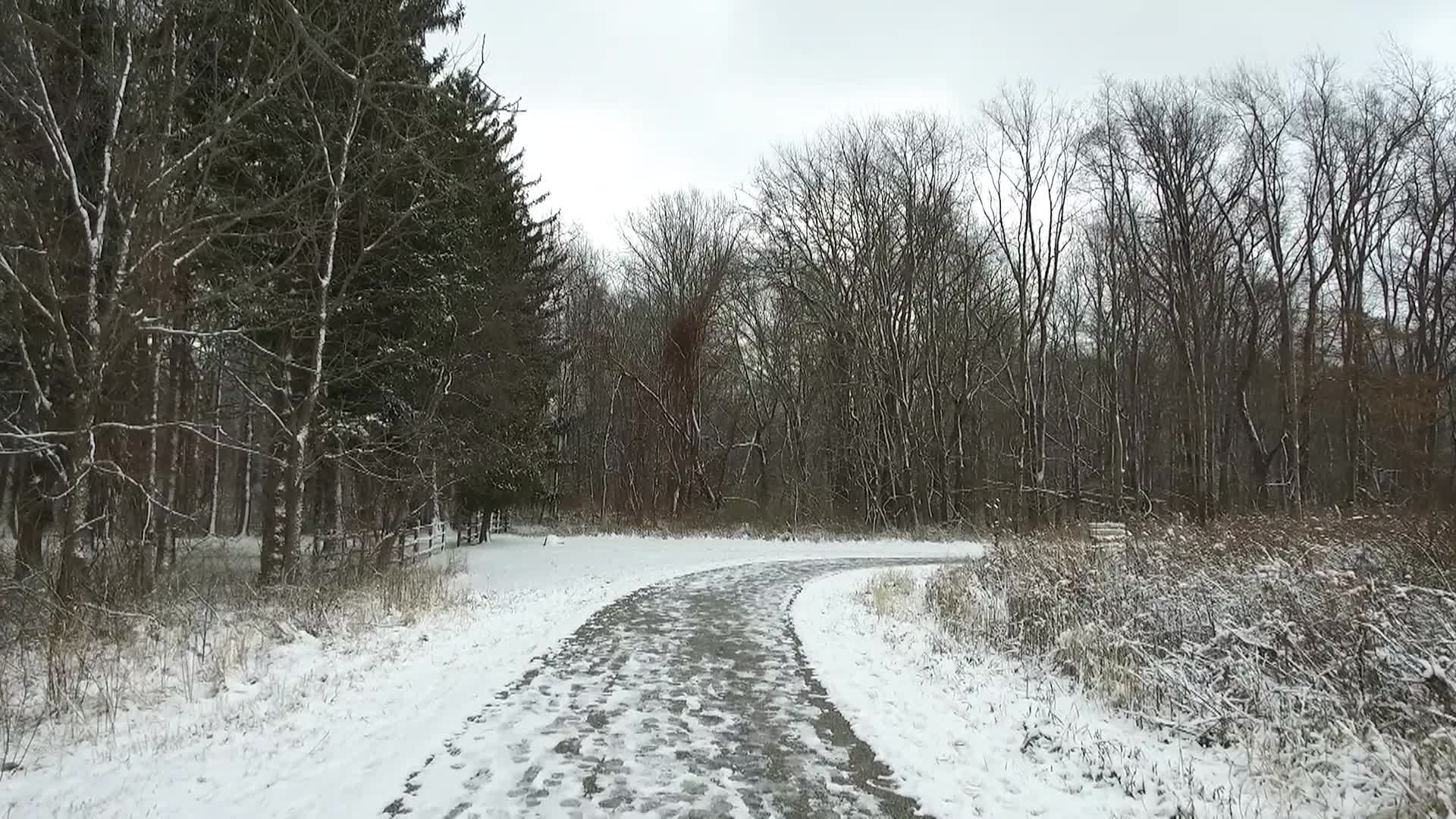 Thumbnail image for Scenes & Things: Tallmadge Meadows Parks