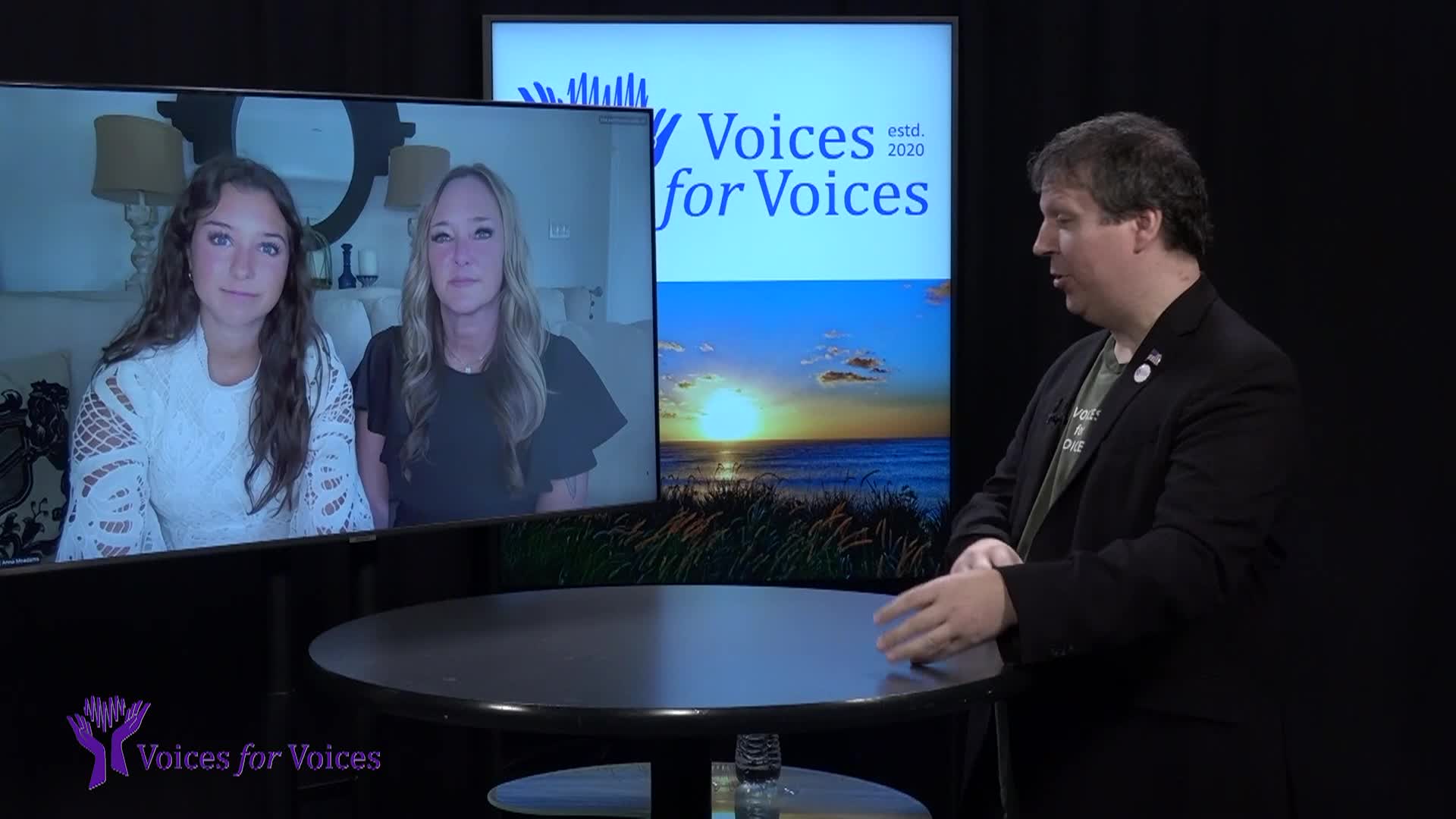 Thumbnail image for Voices for Voices: Take It Down Law