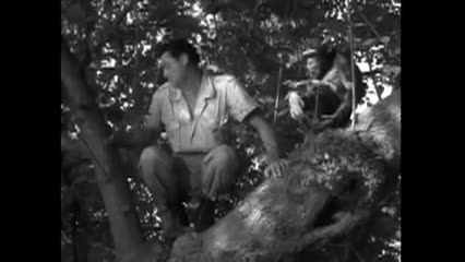 Thumbnail image for DON'S Breakfast Serial: Forbidden Land