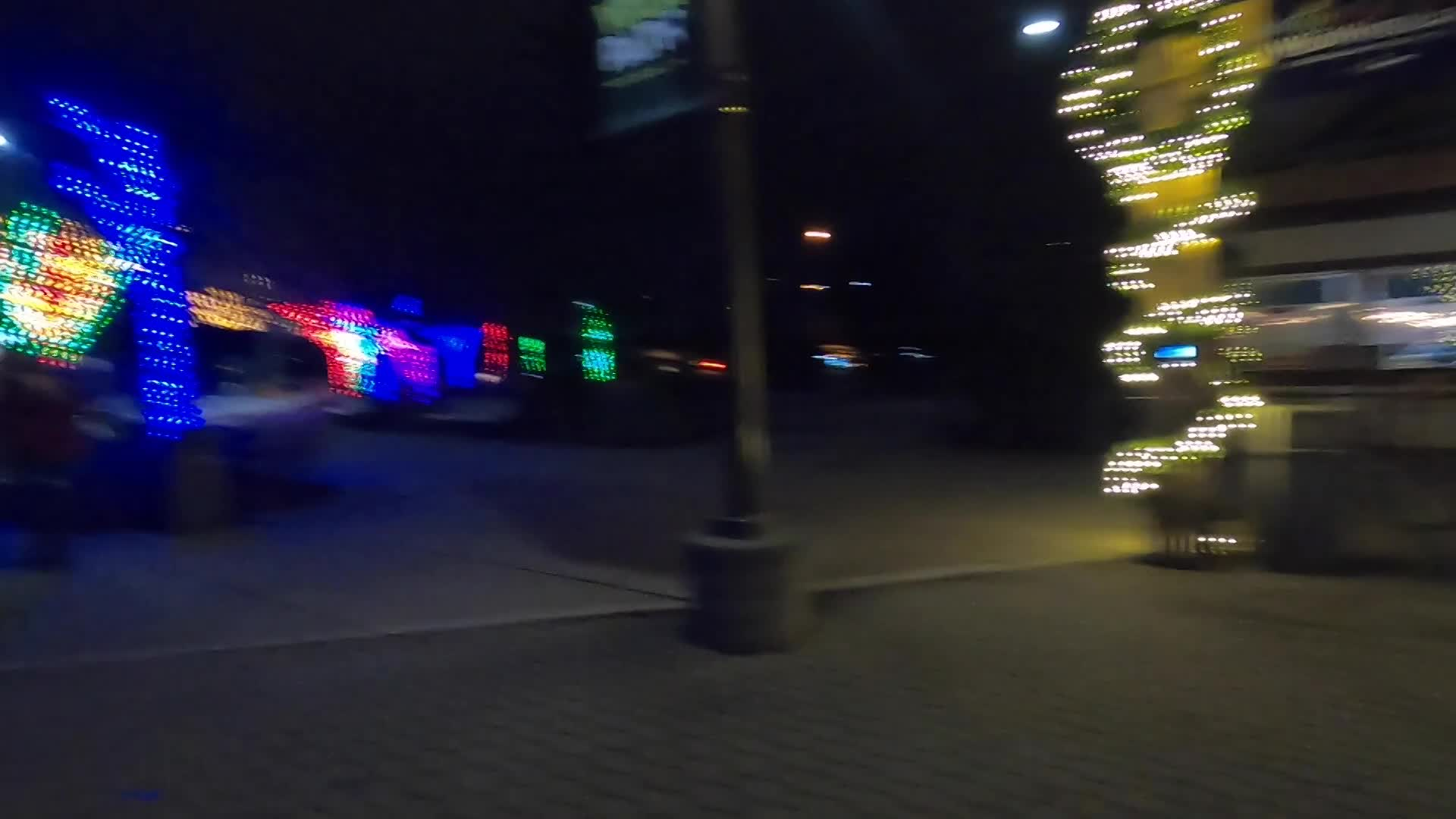 Thumbnail image for Scenes & Things: Cleveland Zoo - Wild Winter Lights