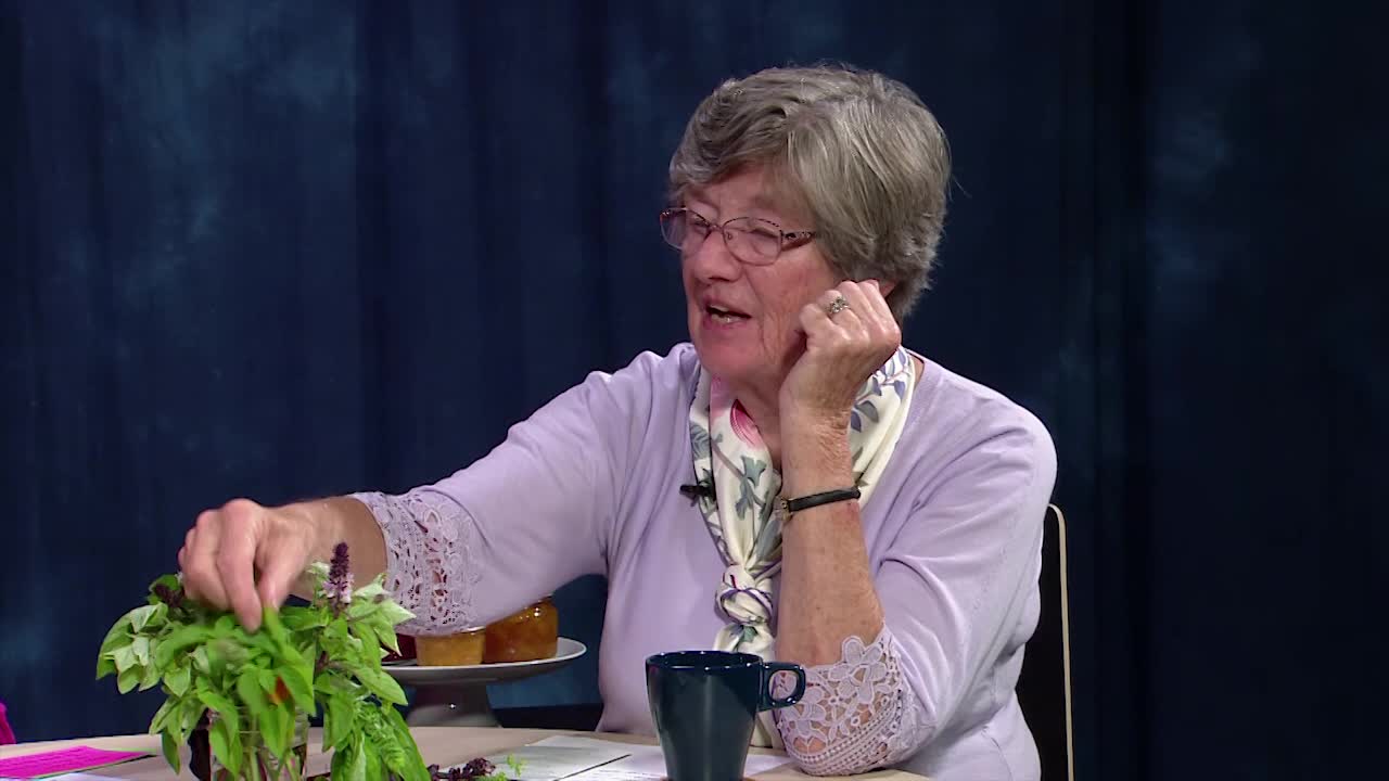 Thumbnail image for Talking About Herbs 2018