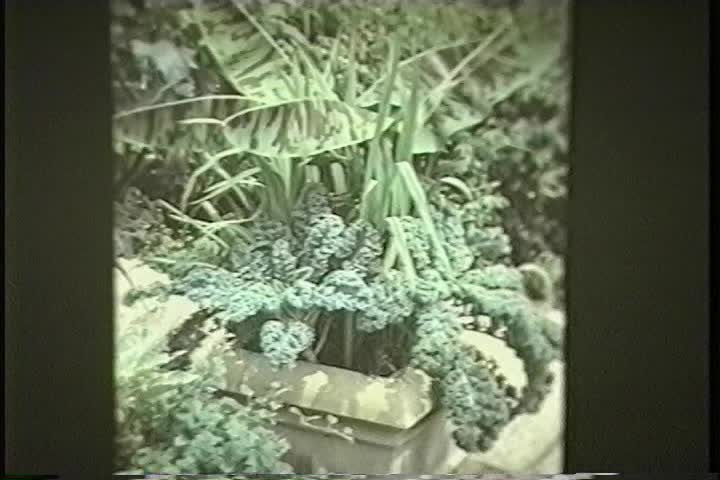Thumbnail image for Hudson Garden Club 2004- The Whys, Wheres and When of Growing Vegetables