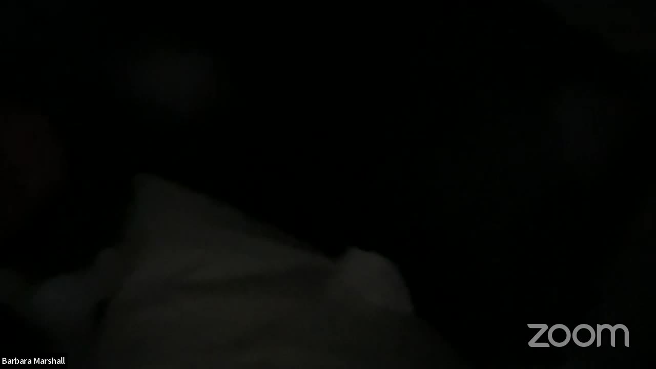Thumbnail image for Rotary Club 03/13/2024 - Amanda Weinstein